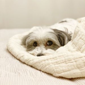 Meet your Posher, Christy